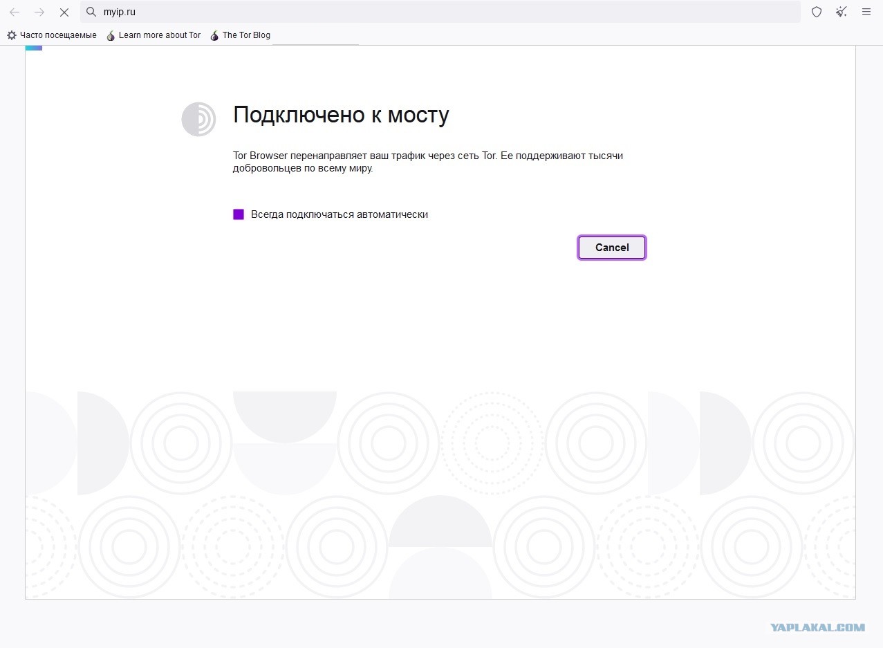 Кракен онион даркнет площадка