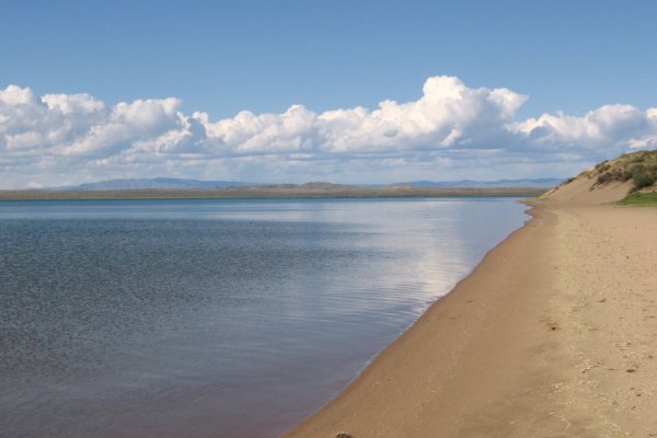 Ссылка на сайт кракен в тор браузере