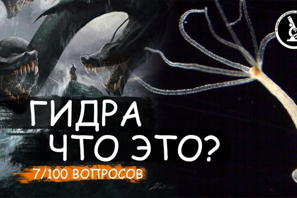 Актуальное зеркало на кракен