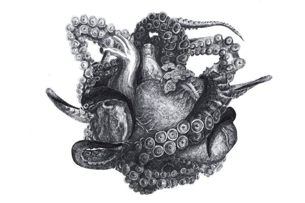 Kraken сайт магазин