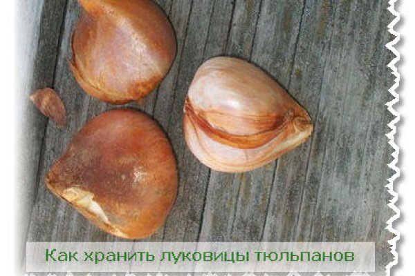 Зеркала сайта кракен tor