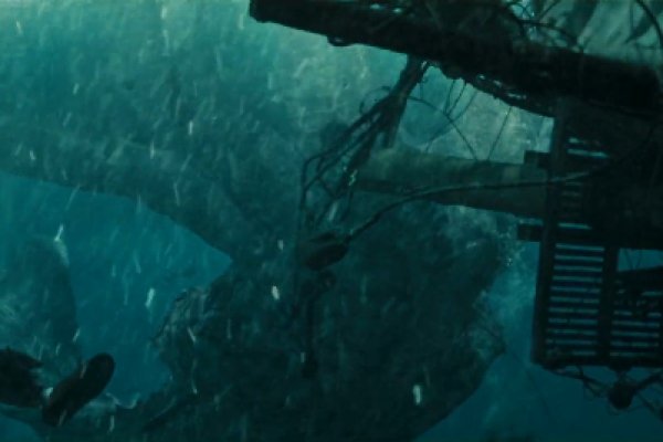 Kraken 23 at