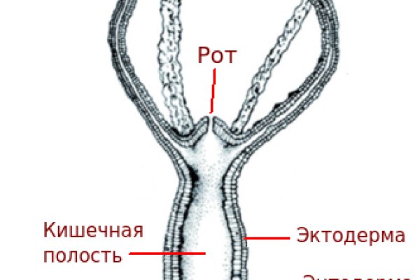 Кракен ориг ссылка